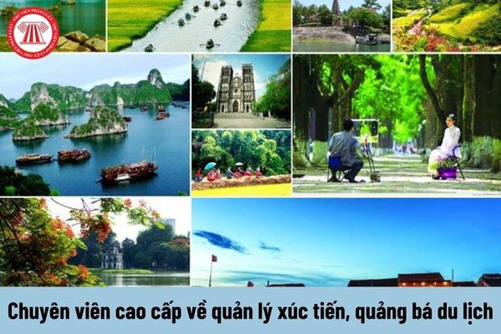 Hotspot Matrix: Biến Hiện trường kinh hoàng vụ tai thành cơ hội marketing đột phá