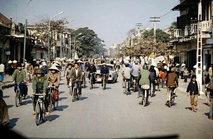 Kích thước to bất thường: Tôm nuôi theo phương pháp tự nhiên sẽ có kích thước không