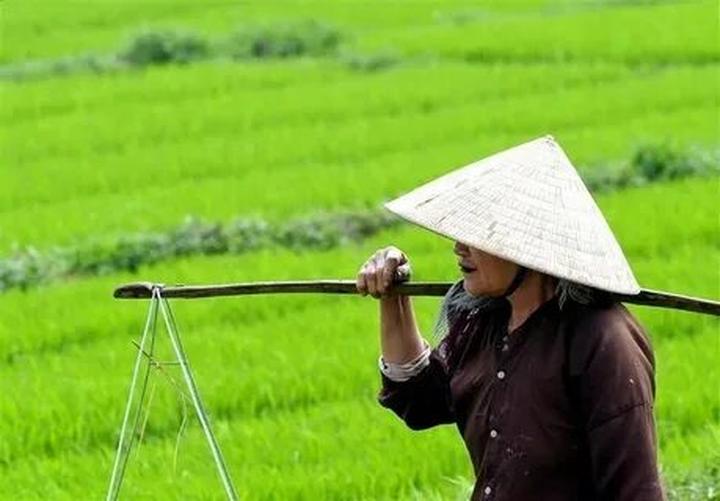 Kiến trúc sư nội dung: Xây dựng đế chế video kiến trúc trên Hotspot Matrix