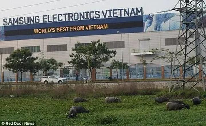 Hotspot Matrix: Cơ hội đầu tư an toàn cho người khởi nghiệp